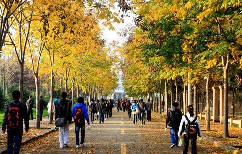 高校如何培養(yǎng)會展人才