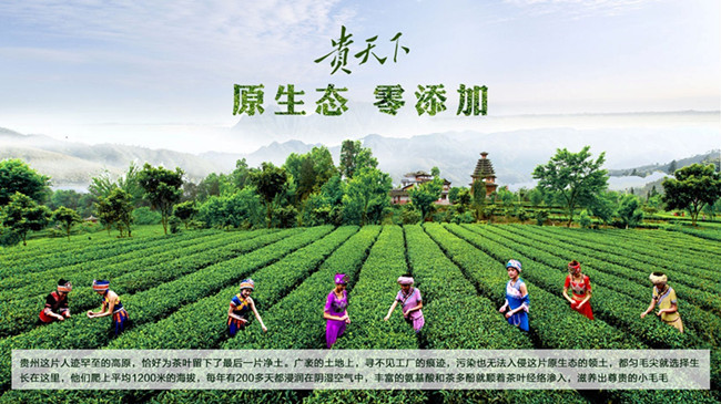 貴天下領袖級好茶，獻給生命中每一位貴人