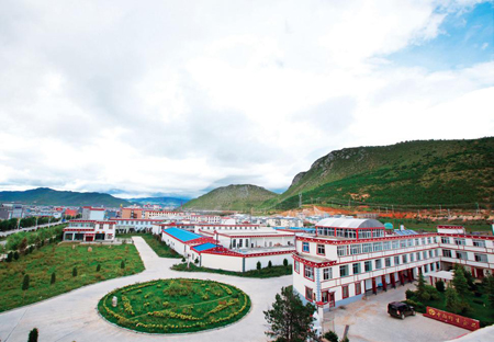 秘境堂松茸 舌尖上的美味精靈