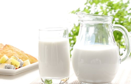 春節時尚禮品：新疆駱駝奶