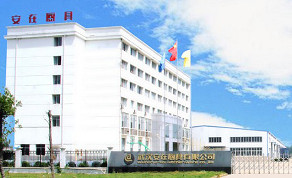 武漢安在廚具有限公司