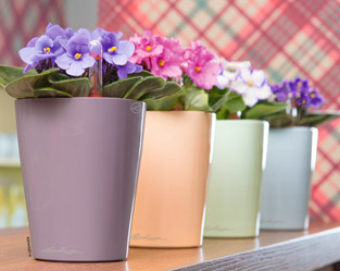 2014上海尚品家居展，打造中國(guó)意境的當(dāng)代生活