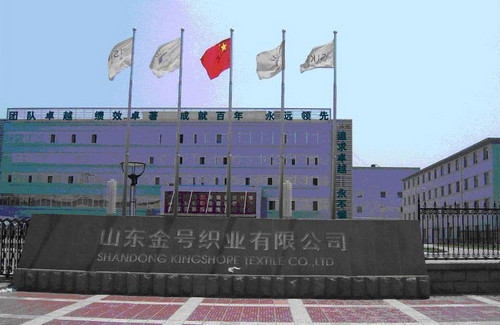 山東金號織業有限公司