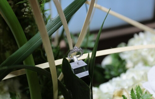 ENZO推出全新限量版系列珠寶