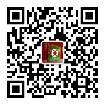 苗木商為何紛紛鐘情于紅豆杉生態市場？