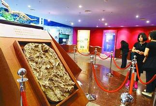 上海科普展“藝術營養”有待加強