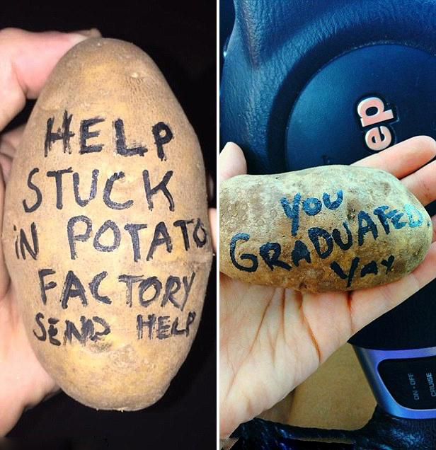 美國創意禮物“馬鈴薯”賀卡 刷出禮物新高度