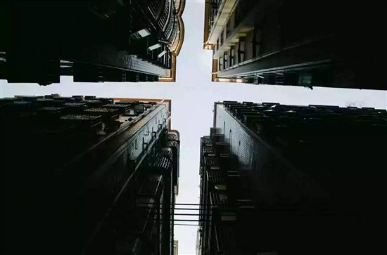 它們和人一樣，其實都需要更好的家